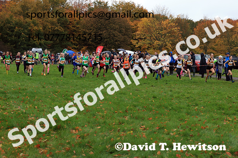 Girls under-13s 2024 Start Fitness NEHL, Lambton Park, near Chester le Street, County Durham.   Photo: David T. Hewitson/Sports for All Pics
